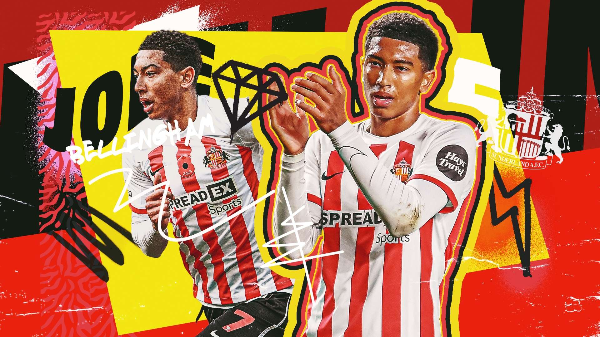 重新樹立自 重新樹立自